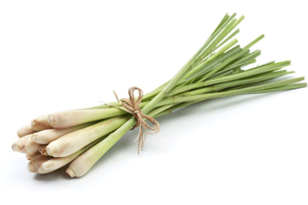 נר עיסוי Thai Lemon Grass