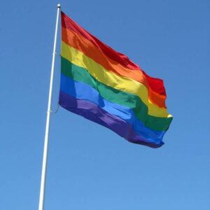 דגל גאווה 100/150 ס"מ