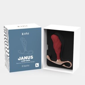 Lamp Iron Janus L